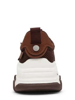 Steve Madden Baskets Possession marron Discount