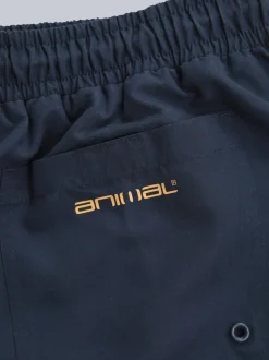 Animal Bleu - Boardshort Deep Dive à séchage rapide pour homme Clearance