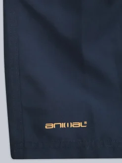 Animal Bleu - Boardshort Deep Dive à séchage rapide pour homme Clearance
