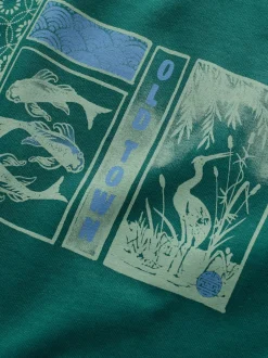 Next - Ajustement régulier - T-shirt Graphic Imprimé 3 Pack Bleu/Vert/Rose Online