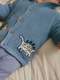 Next Imprimé dinosaures bleu marine brodé - Cardigan à capuche en maille bébé (0 mois-2 ans)