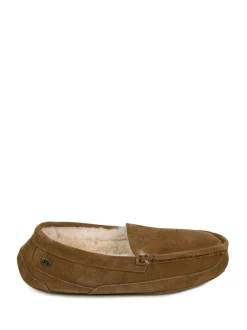 Just Sheepskin Marron - Chaussons Harry homme en peau de mouton Sale