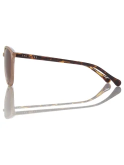 Ted Baker Marron chameau/écaille de tortue - Lunettes de soleil classiques pour les yeux ronds Sale