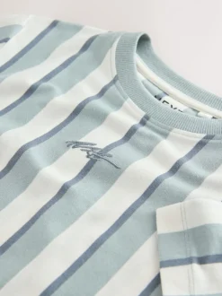 Next - T-shirt imprimé graphique à manches courtes coupe régulière (3-16ans) Minéral rayé Sale