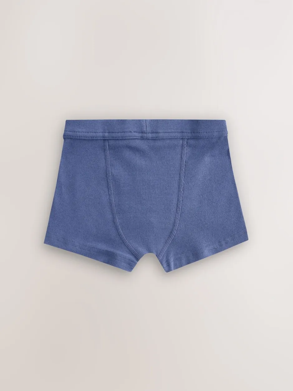 Next Neutre multicolore - Maillot de bain à ceinture souple 5 Pack (1.5-16ans) Hot