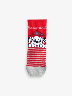 Next - Lot 5 paires de chaussettes Character riches en coton Paw Patrol Clearance