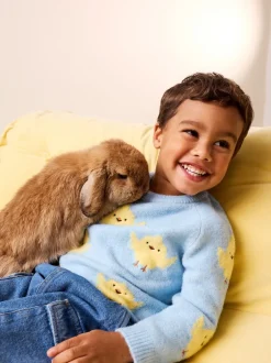 Next Poussin bleu - Pull col rond en maille (3mois-7ans) Sale