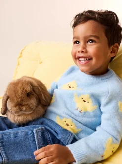 Next Poussin bleu - Pull col rond en maille (3mois-7ans) Sale