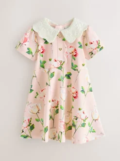 Baker by Ted Baker Rose - Robe Ponte à col en dentelle Online