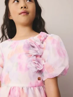 Laura Ashley Roses de jardin roses flous - Robe Corsage en organza à plis nervurés Online