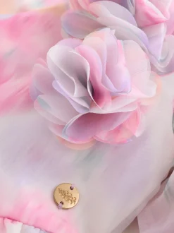 Laura Ashley Roses de jardin roses flous - Robe Corsage en organza à plis nervurés Online