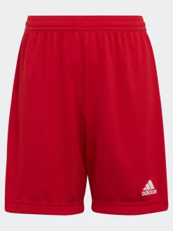 adidas Rouge - Entrada 22 Short