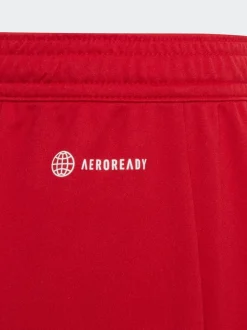 adidas Rouge - Entrada 22 Short