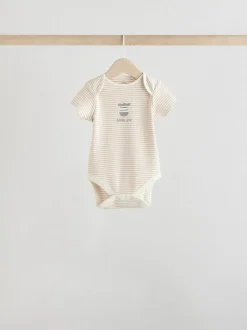 Next Zèbre gris - Lot de bodys à manches courtes pour bébé 100% coton 5 Sale