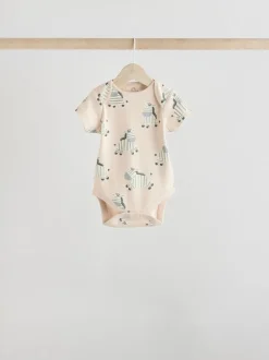 Next Zèbre gris - Lot de bodys à manches courtes pour bébé 100% coton 5 Sale
